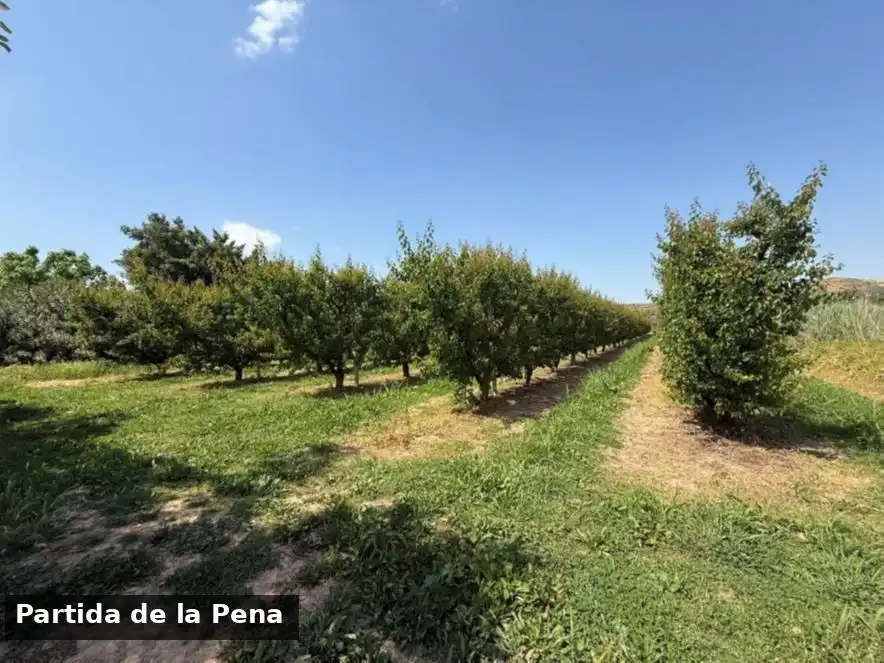 Terreno en venta en Puigverd de Lleida, Lleida