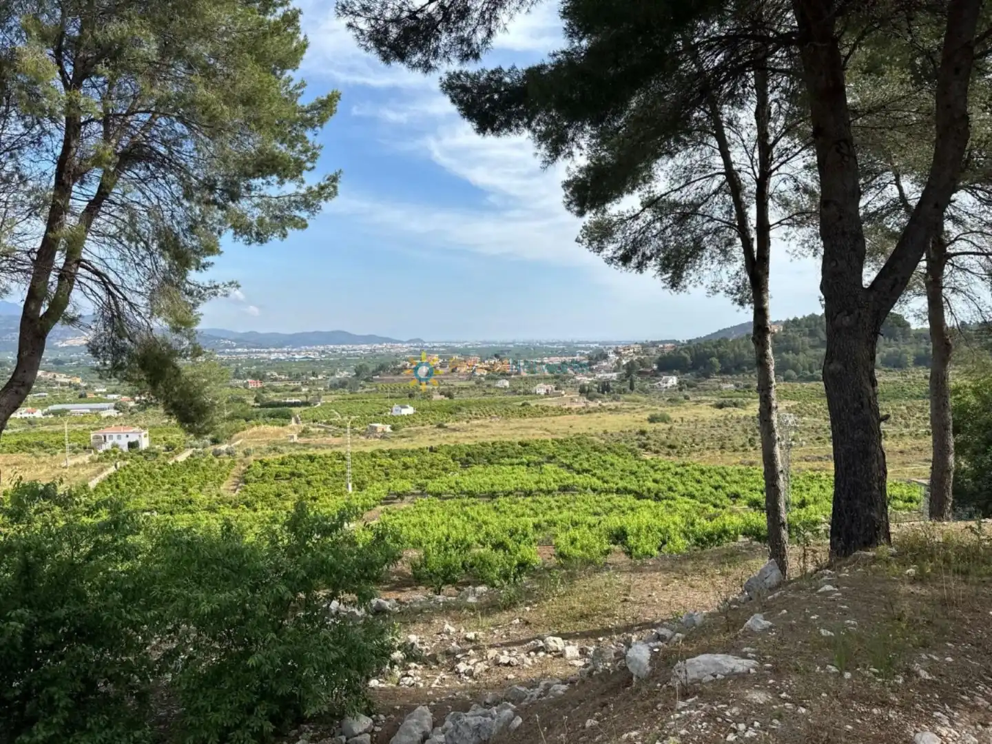 Terreny rústic en venda a La Font d'en Carròs, imagen 9