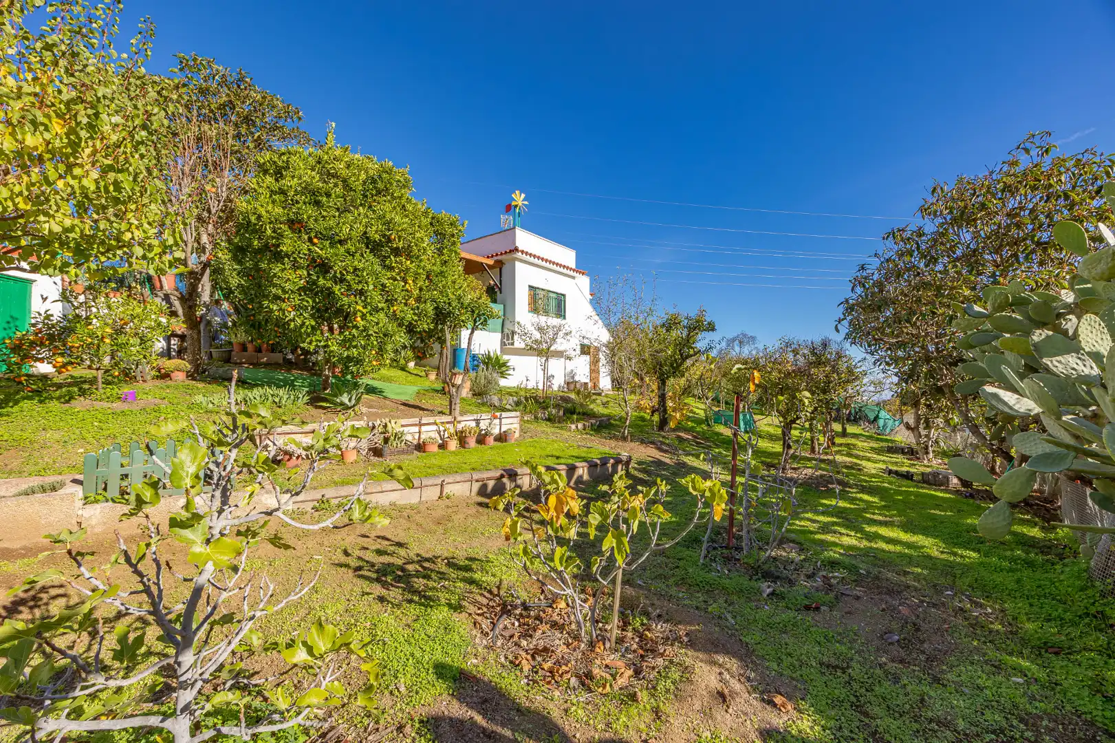 Jardí de Casa o xalet en venda en Sant Mateu amb Jardí privat