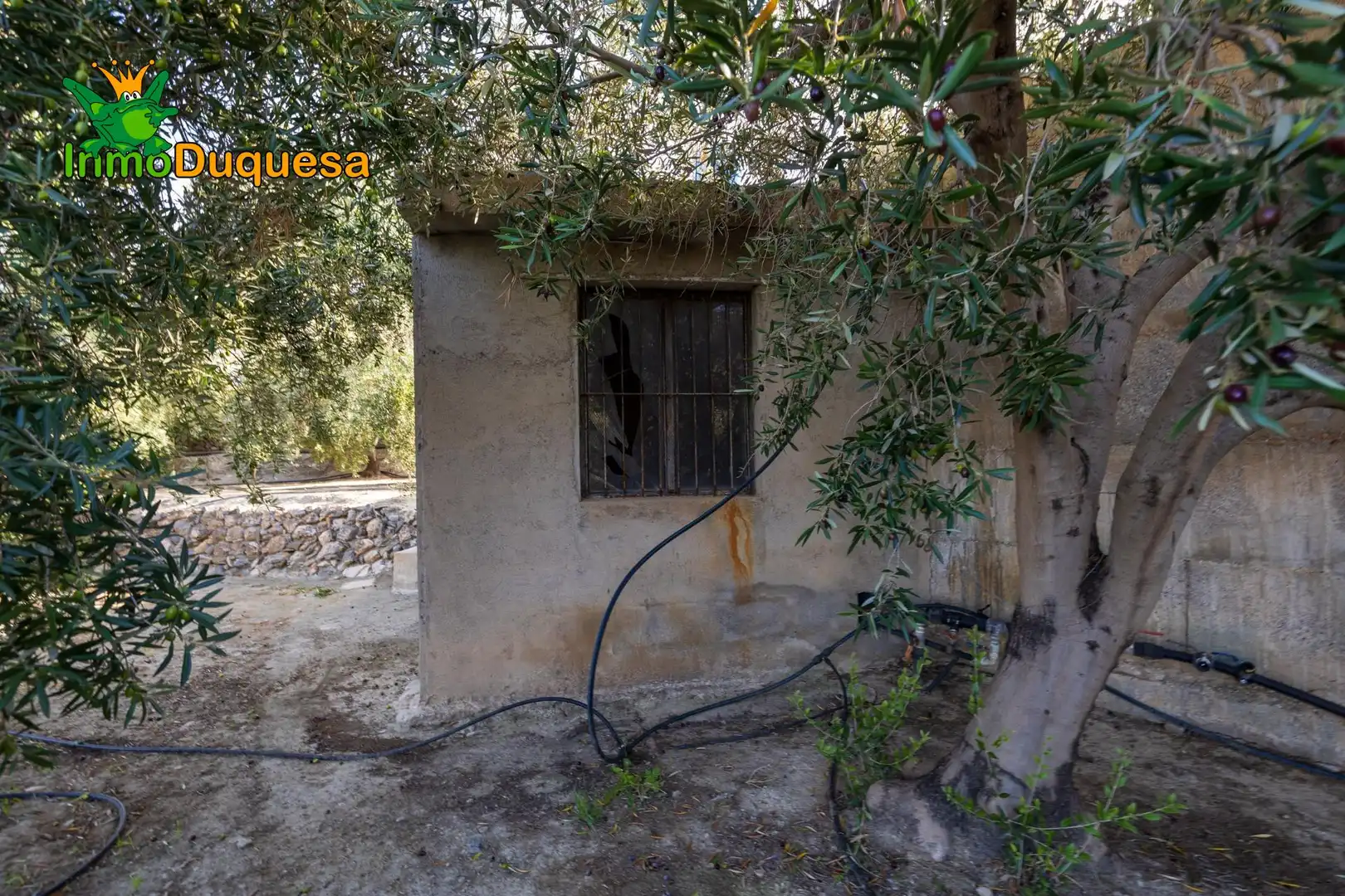 Casa rústica en venda a El Pinar, imagen 10