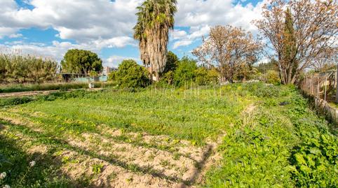 Foto 4 de Finca rústica en venda a Camino Senda Granada, 104, Guadalupe, Murcia