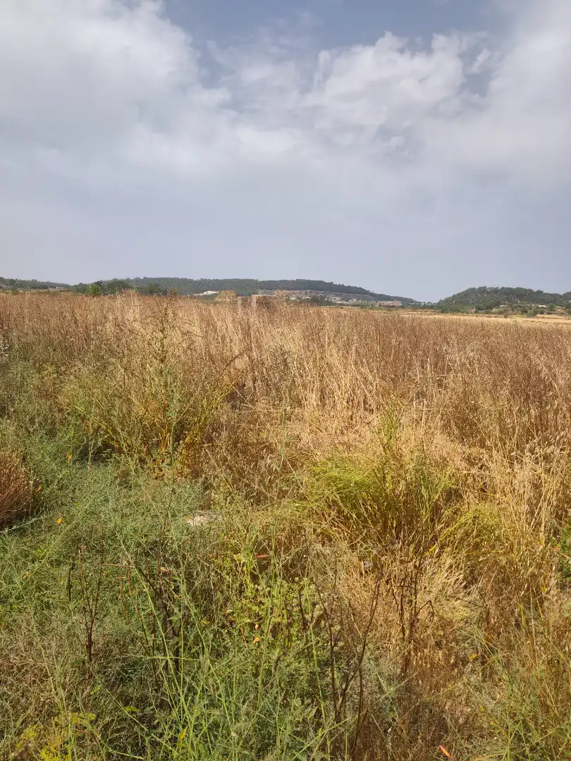 Grundstücke zum Verkauf in Sant Joan