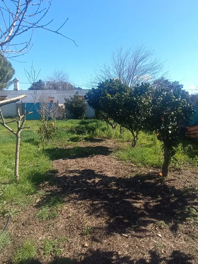 Terreni e lotti in vendita a Castilblanco de los Arroyos, imagen 6