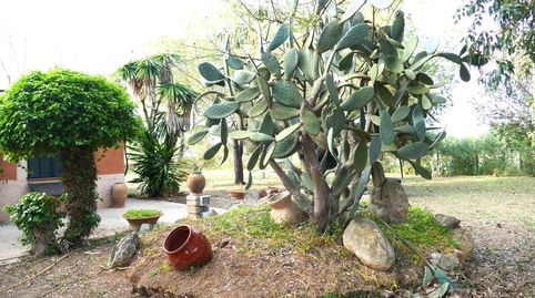 Photo 3 of Country homes for sale in Santa Eugènia, Illes Balears