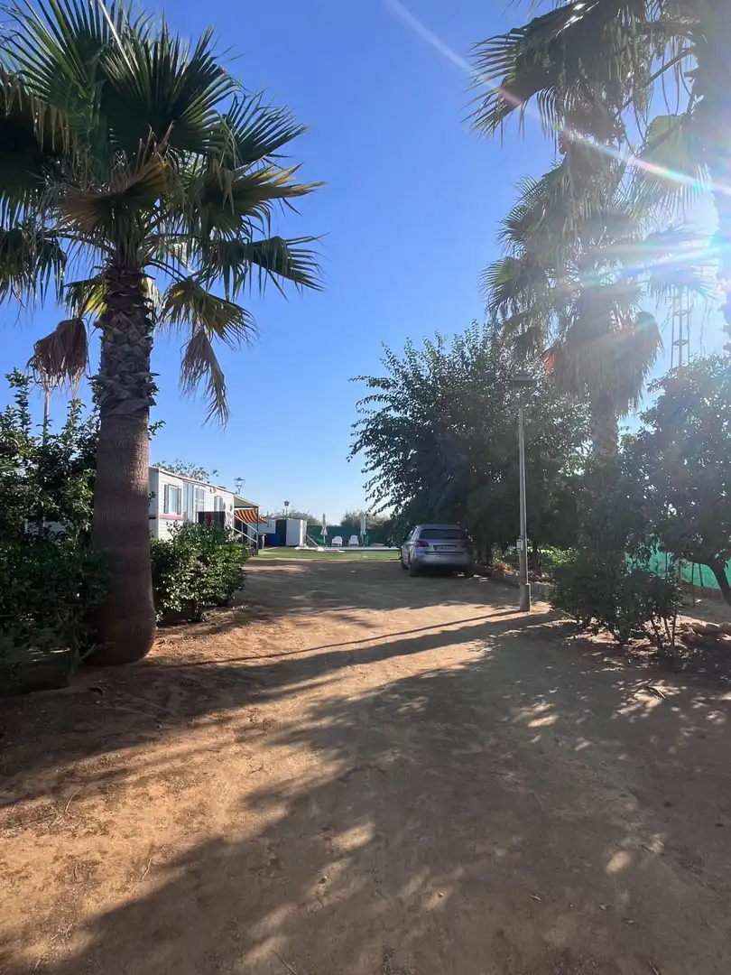 Casa rústica en venda a Carmona, imagen 5