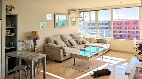 Foto 3 de Apartament en venda a 0, -1, Portals Nous, Calvià