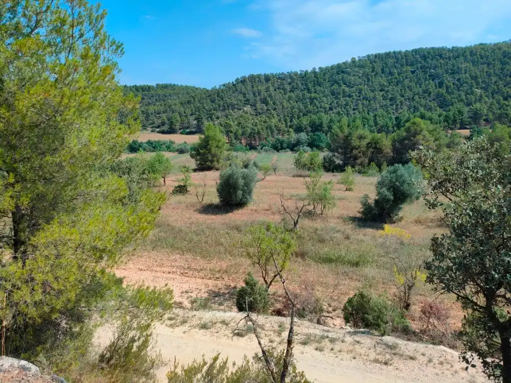 Terreni e lotti in vendita a Arens de Lledó, imagen 6
