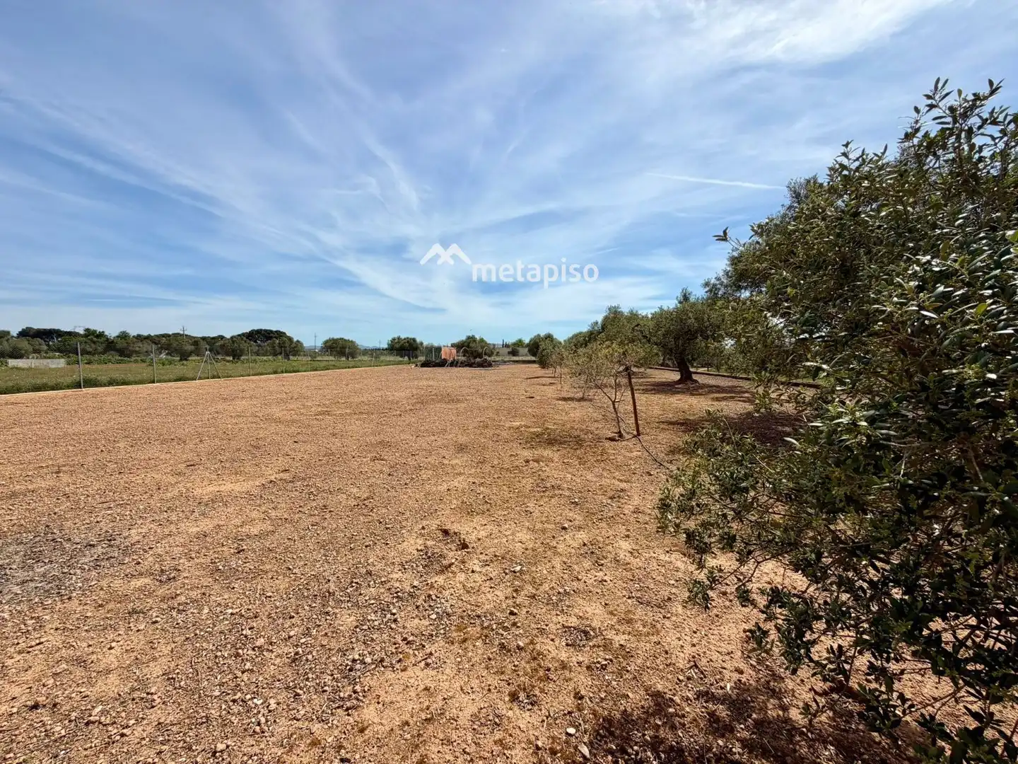 Terreno rustico in vendita a Santa Oliva, imagen 77