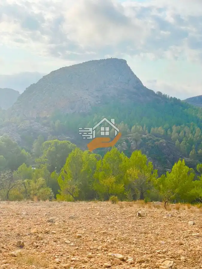 Terreny residencial en venda a Vélez-Rubio, imagen 8
