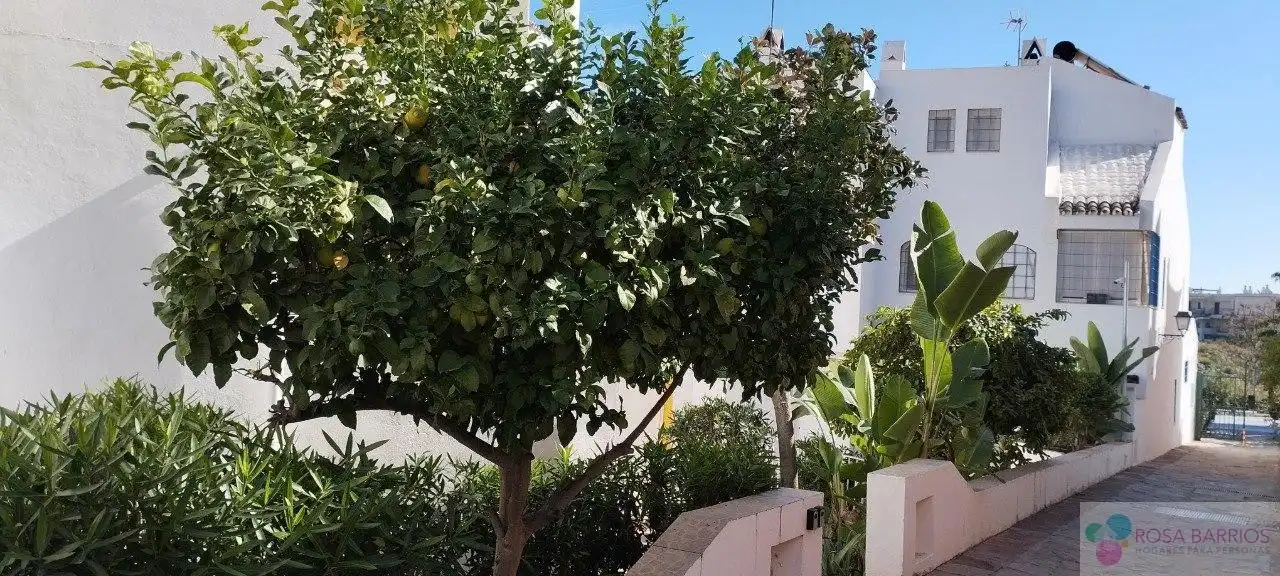 Adosado con piscina en venta en Nueva Andalucía, imagen 2