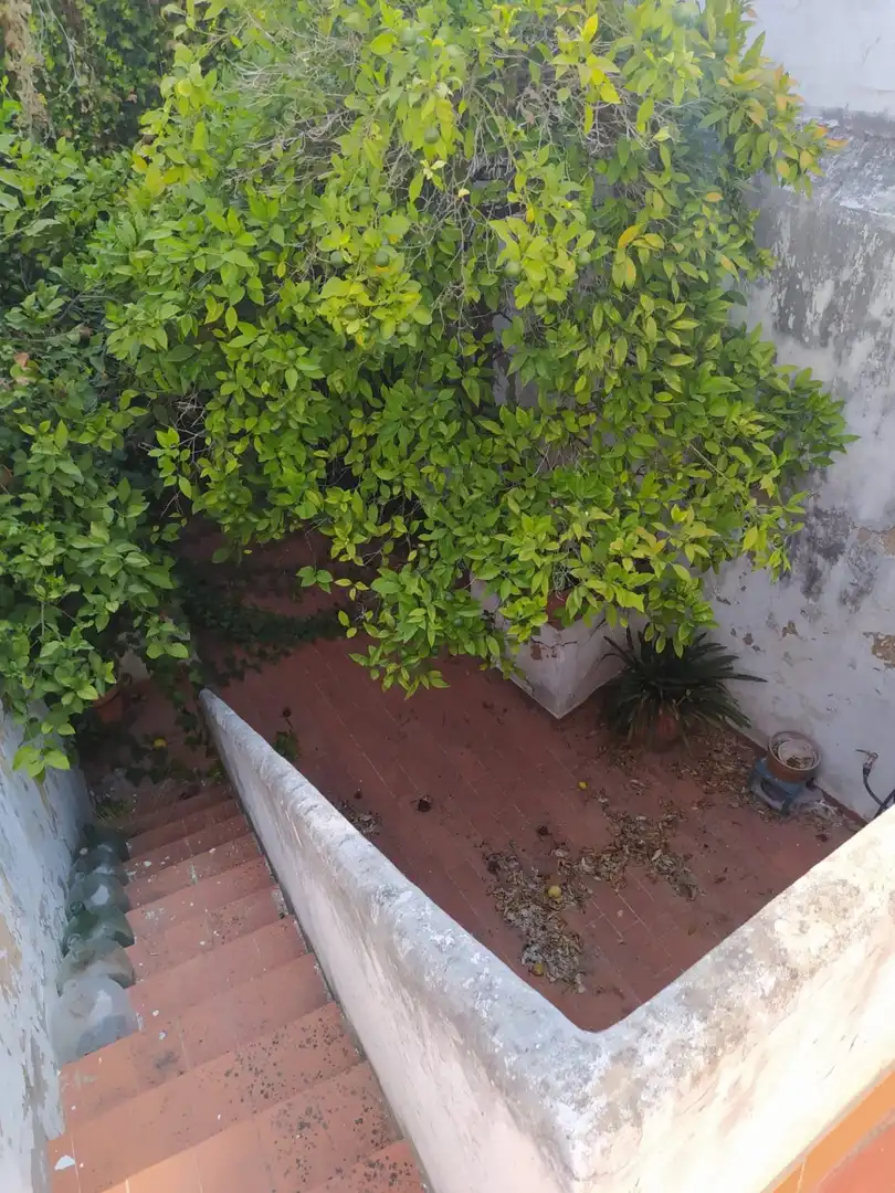 Terraza de Casa o chalet en venta en Arcos de la Frontera con Trastero y Balcón