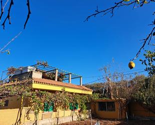 Vista exterior de Casa o xalet de lloguer en Vega de San Mateo amb Terrassa