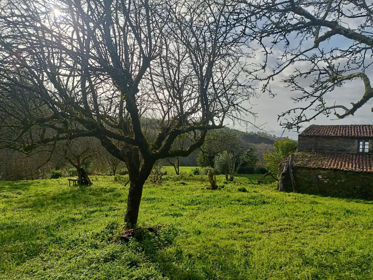Casa o xalet en venda en Cesuras amb Jardí privat