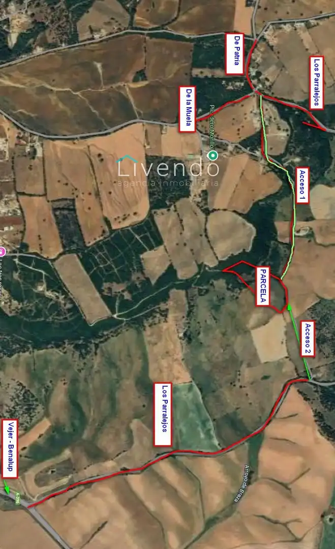 Terrain rustique à vendre à PEDRO CANO, imagen 2