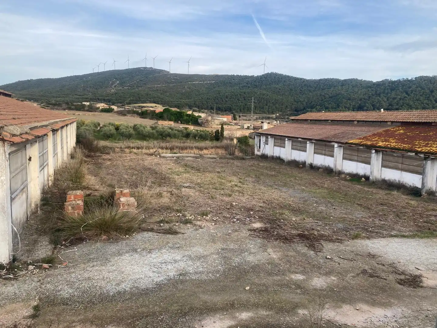 Nave industrial en venta en Cabra del Camp