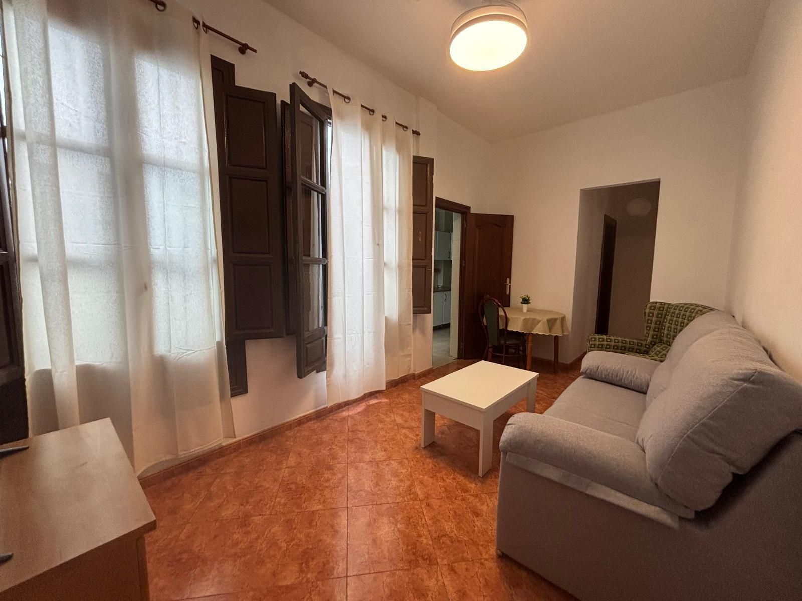 Living room of Flat to rent in  Granada Capital