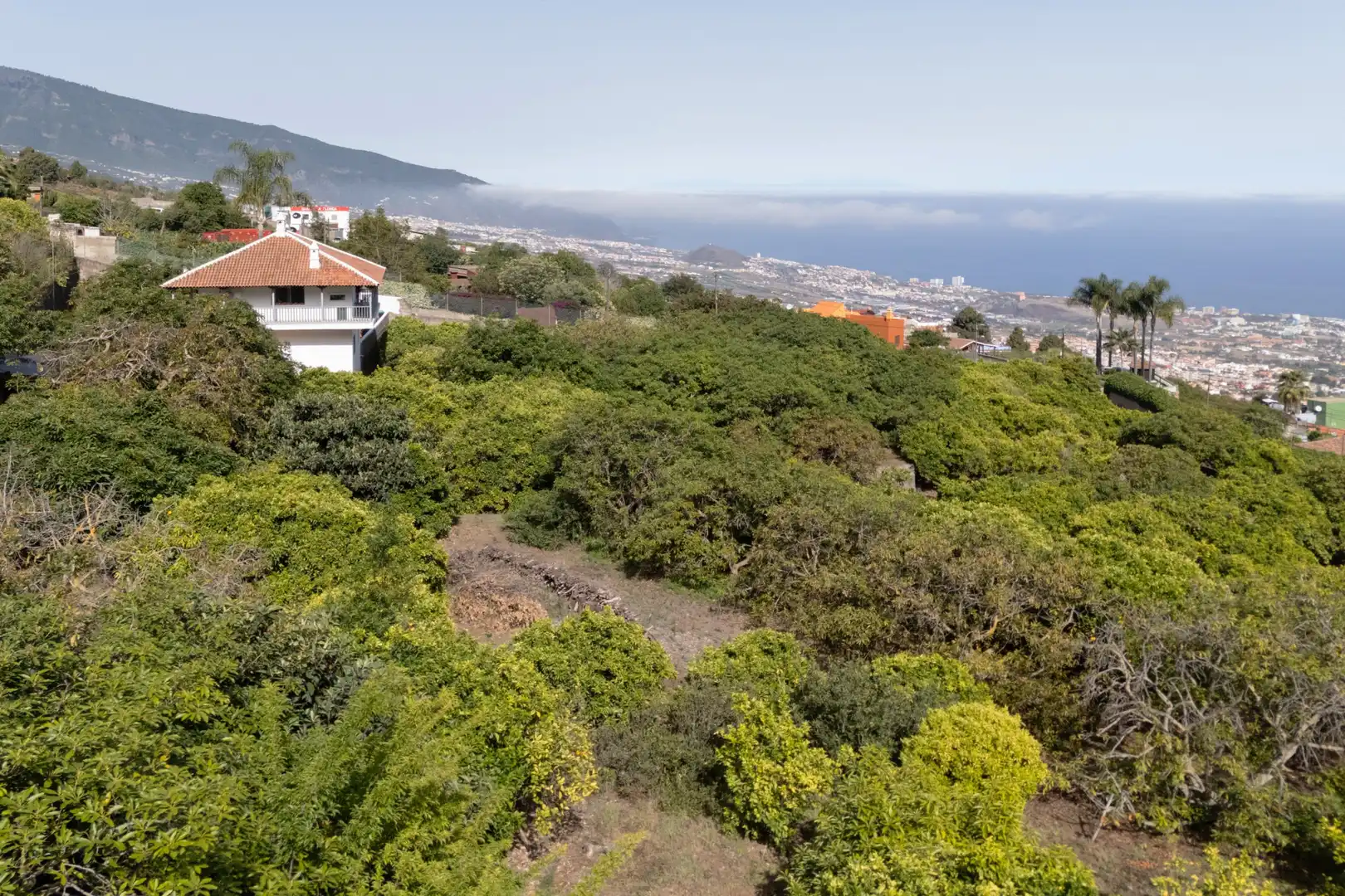 Houses for sale in La Perdoma - San Antonio - Benijos