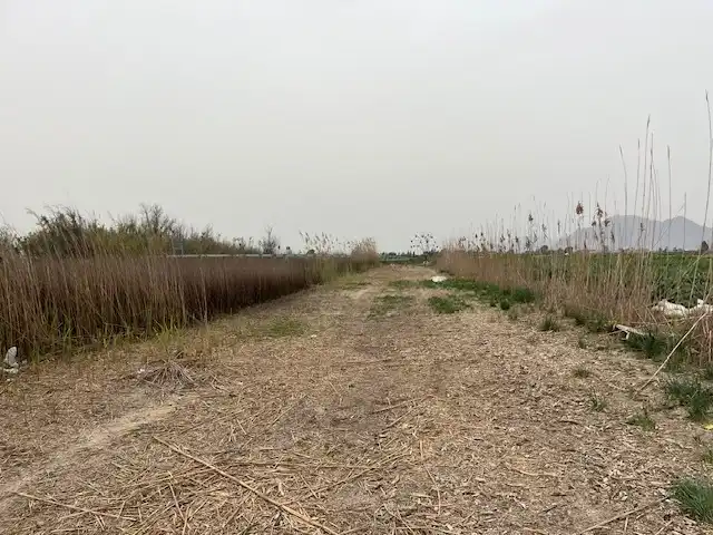 Terreni e lotti in vendita a El saladar, imagen 7