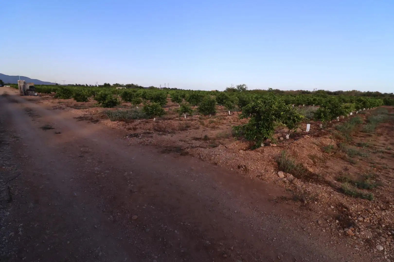 Terreny en venda en Vinaròs