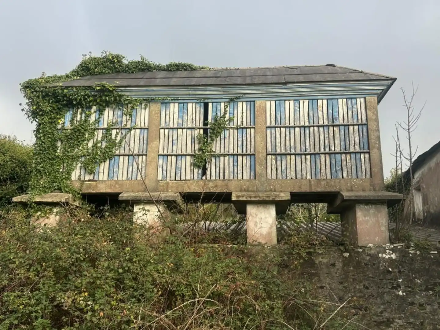 Vista exterior de Finca rústica en venda en Ortigueira amb Jardí privat, Terrassa i Traster