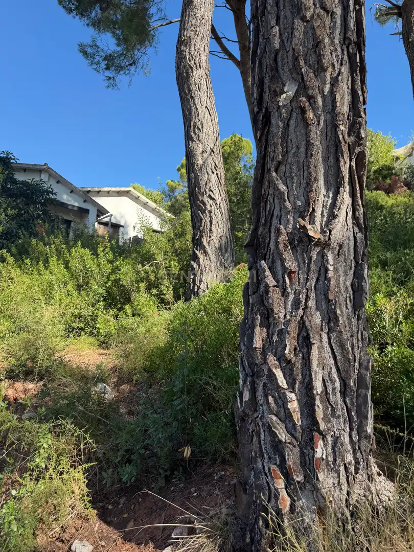 Terreno residencial en venta en Carrer Santa Elena, 10, Aire-Sol, Spain, imagen 17