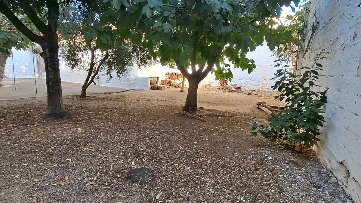 Haus mit Garten zum Verkauf in Avenida Juan Carlos I, imagen 22