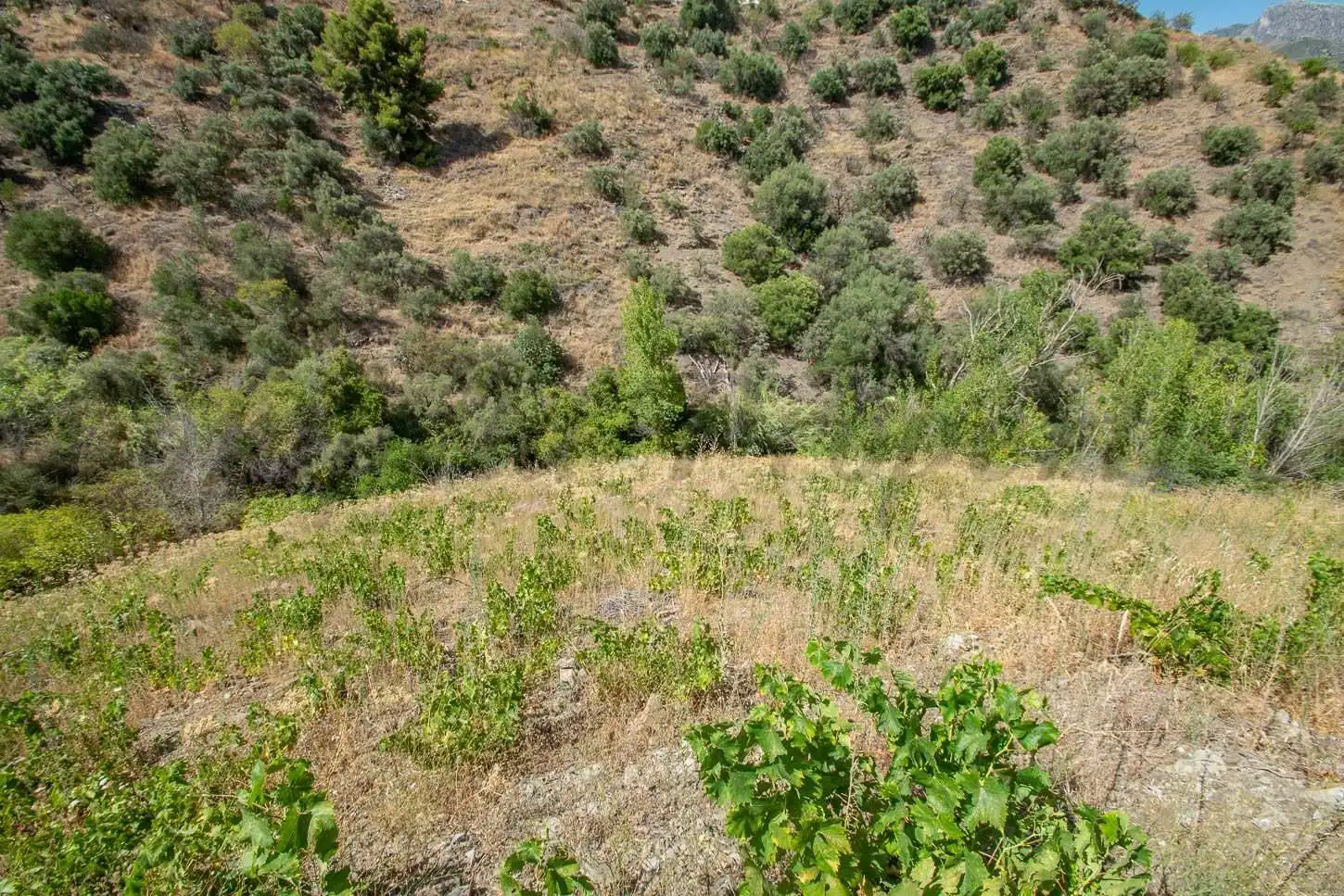 Rustikales Grundstück zum Verkauf in Torrox Pueblo, imagen 4