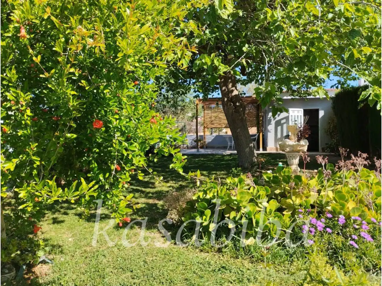 Garden of Houses for sale in Marines  with Private garden, Terrace and Swimming Pool