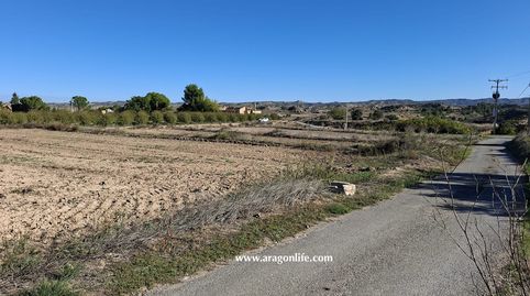 Foto 2 de Finca rústica en venta en Avenida Maella, Caspe, Zaragoza