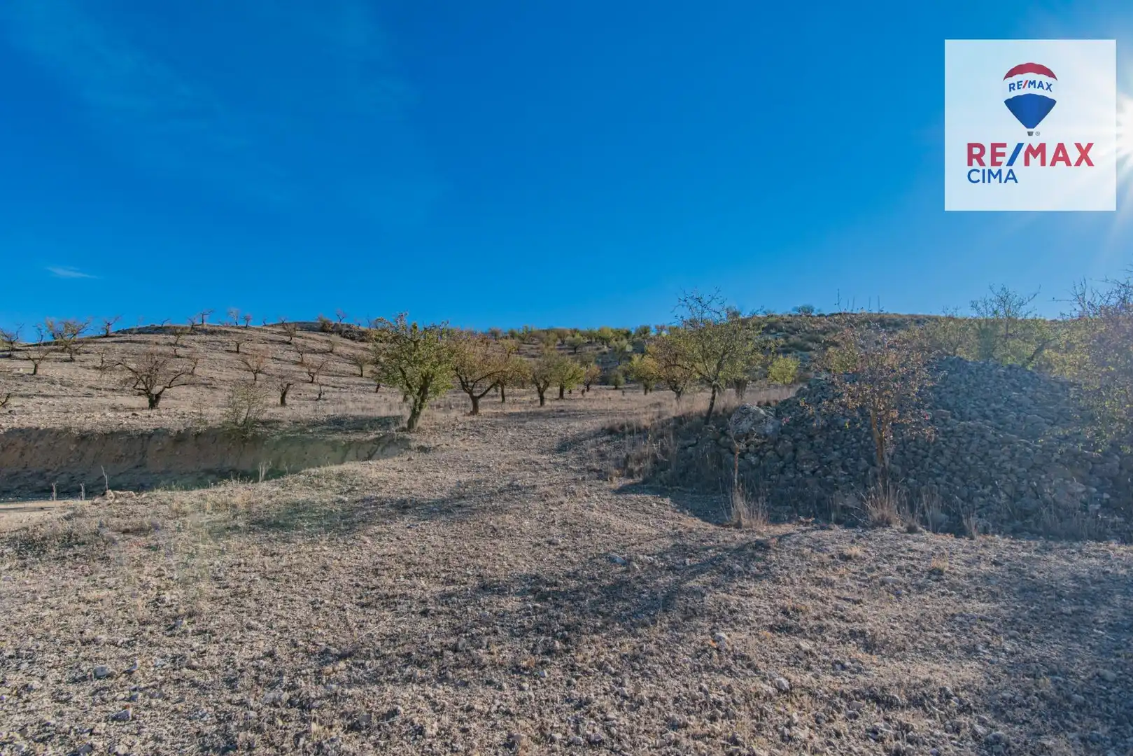 Terreno en venta en Santa Cruz del Comercio
