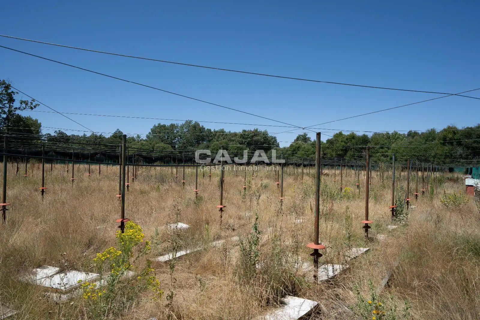 Terreno en venta en Fresno de Cantespino