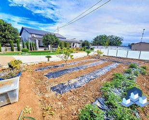 Jardí de Casa o xalet en venda en Lorca amb Aire condicionat, Calefacció i Jardí privat