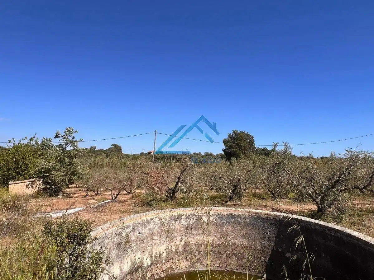 Land for sale in Vinyols i els Arcs