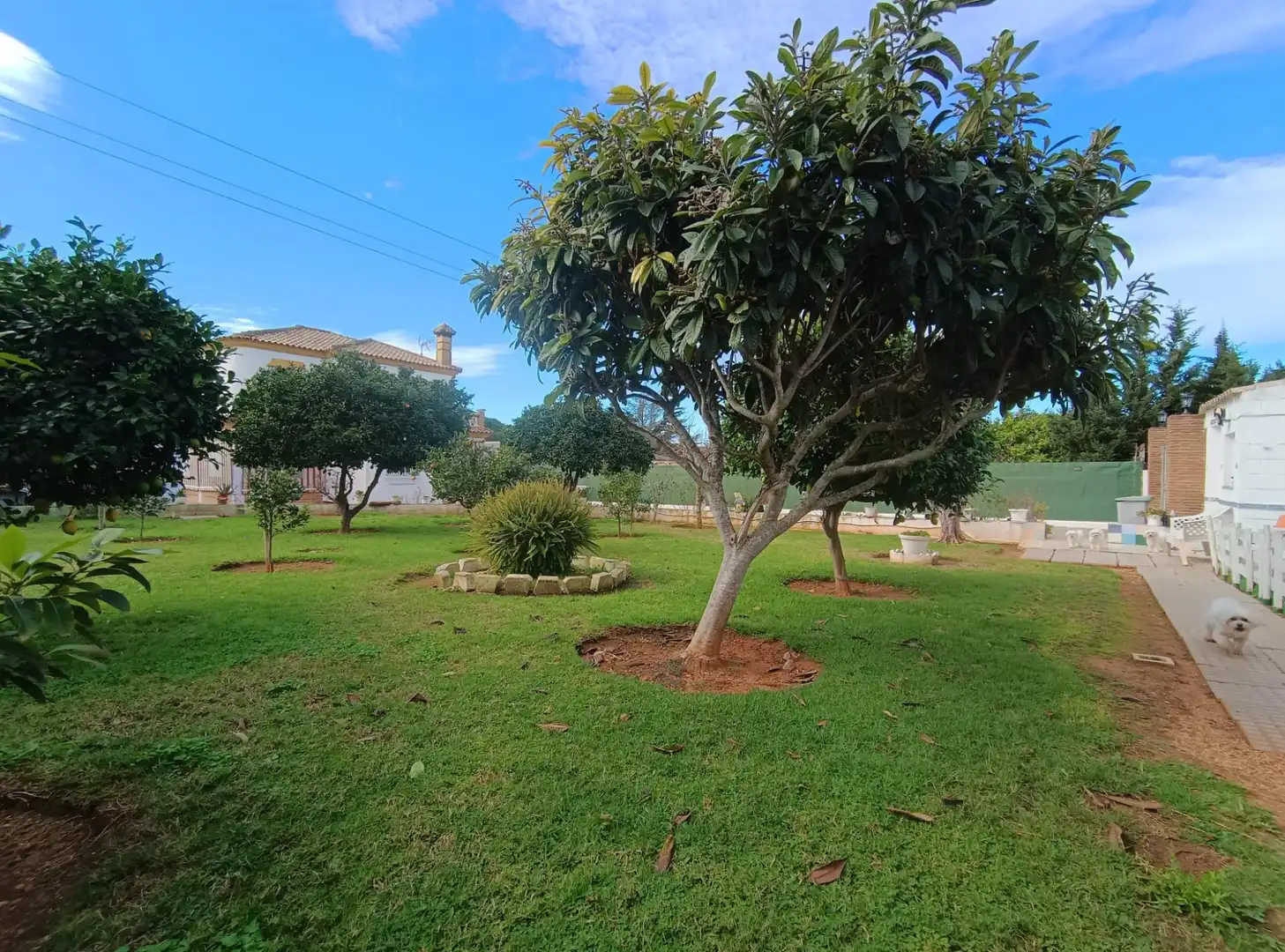 Jardín de Casa o chalet en venta en Chiclana de la Frontera con Jardín privado