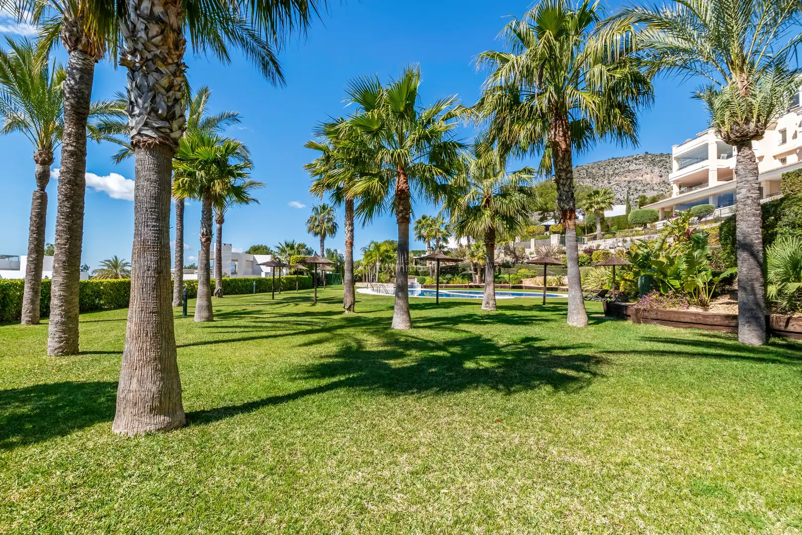 Jardín de Piso en venta en Altea Hills
