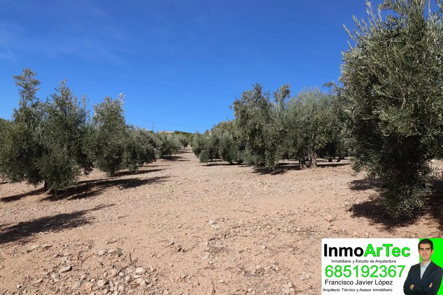 Finca rústica en venda en Iznalloz amb Jardí privat, Terrassa i Piscina