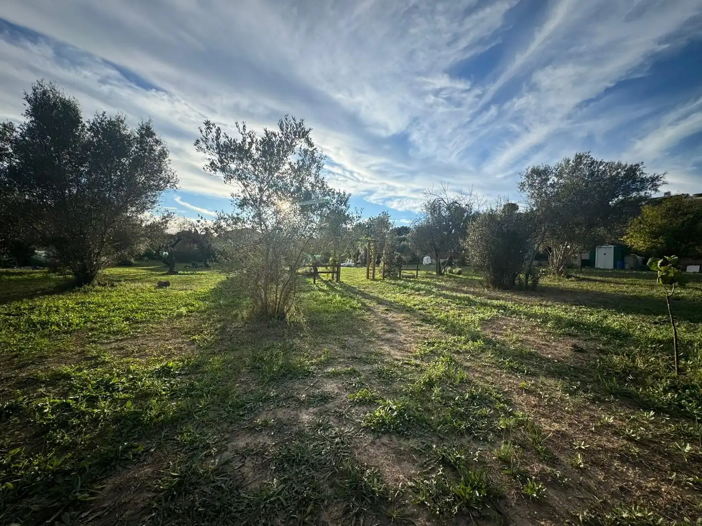 Country house with garden for sale in Son Amonda - Reis Catòlics, imagen 38