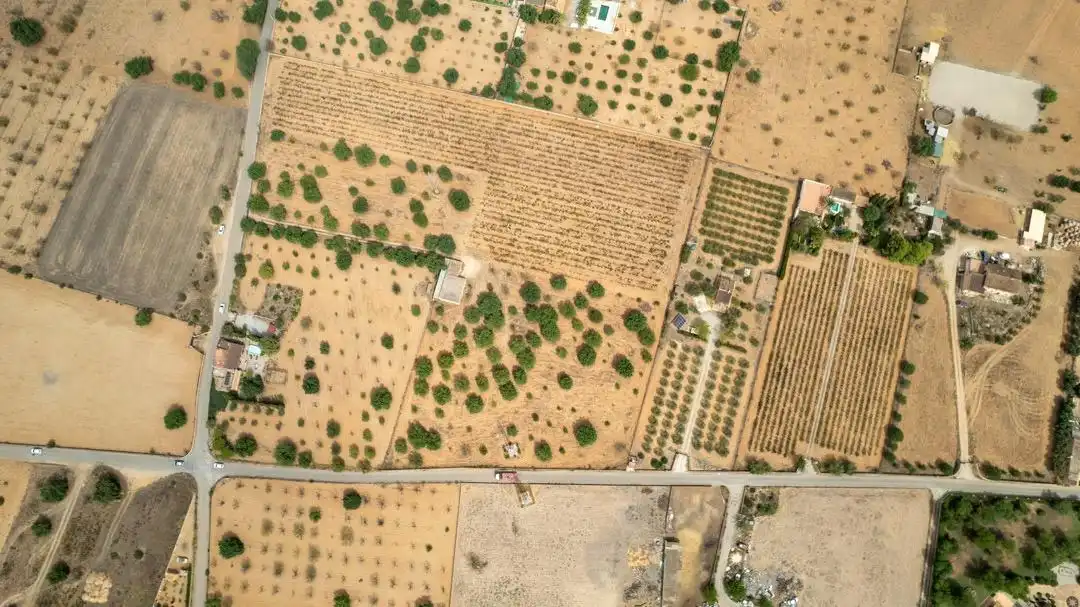 Land for sale in Consell