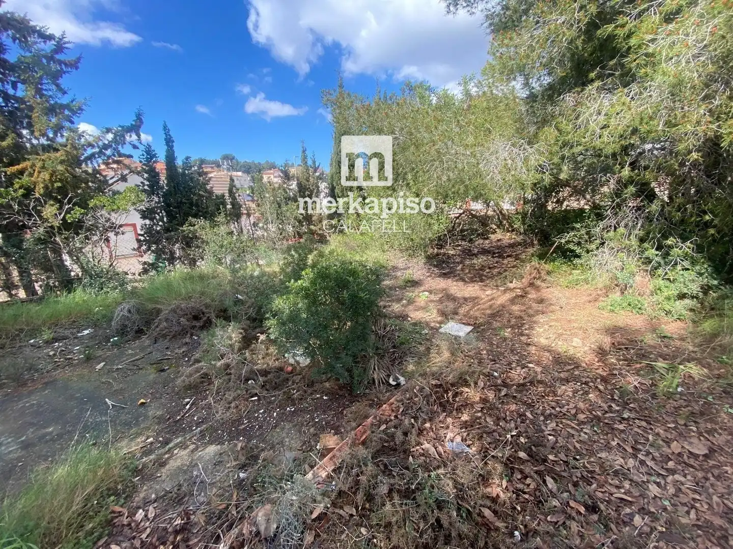 Terreny rústic en venda a Valldemar - Montmar, imagen 8