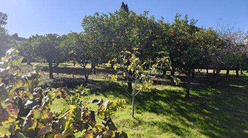 Photo 2 of Houses for sale in Urbanización Los Barreros, Espartinas Pueblo, Espartinas