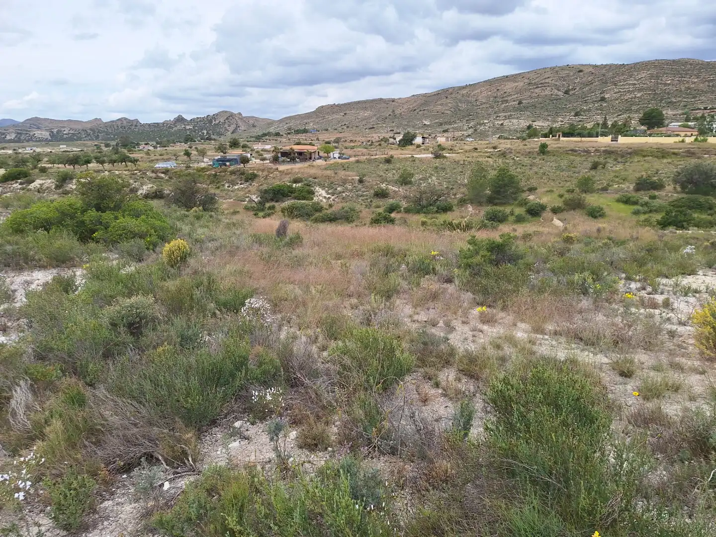Terreny en venda en Alicante / Alacant