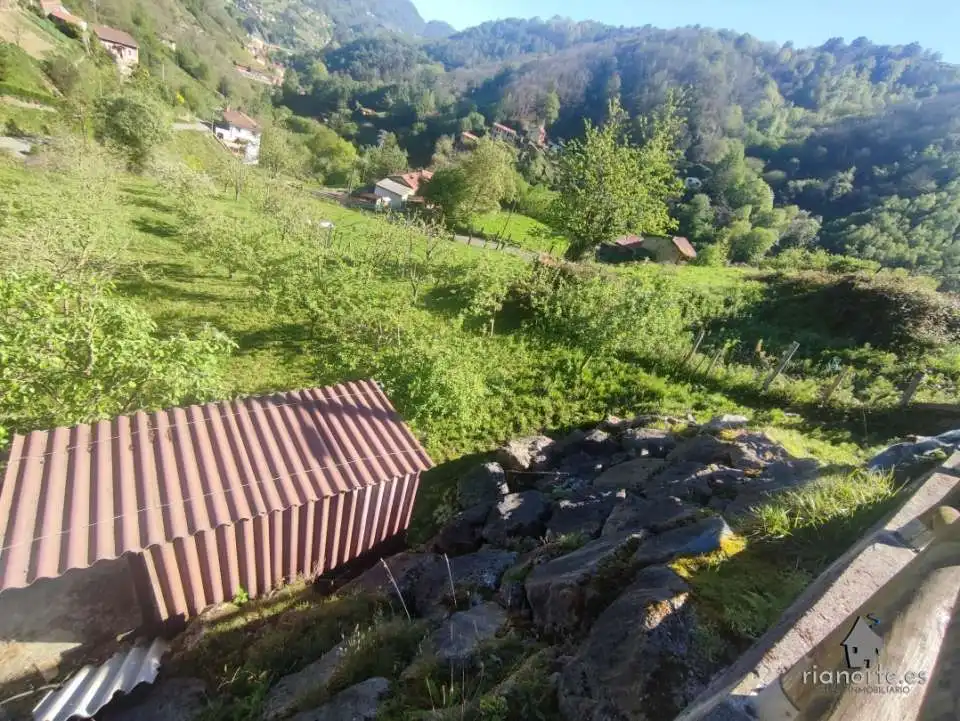 Terreno rustico in vendita a San Martín del Rey Aurelio, imagen 16