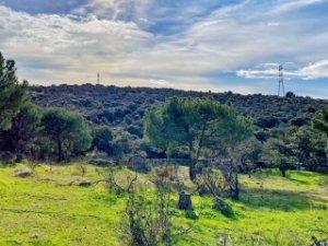 Foto 4 de Residencial en venda a Calle de San Macario, 7, Hoyo de Manzanares, Madrid