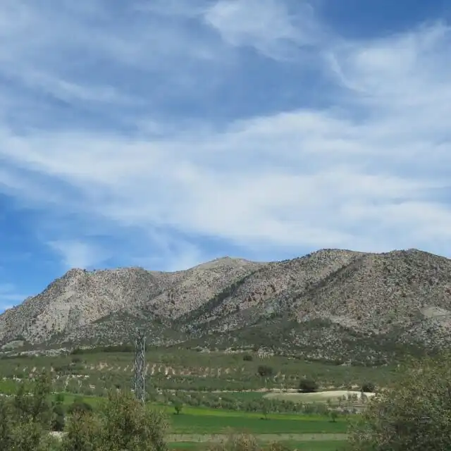 Country house with garden for sale in Calle Cuesta de Tubos 5, imagen 5