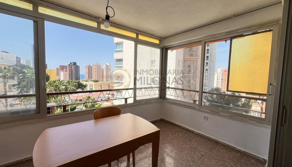 Estudio en venta en Calle Lisboa, Rincón Alto - 4