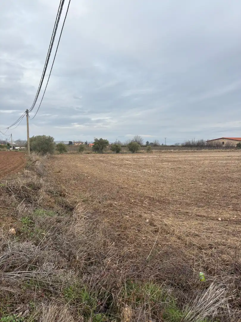 Terrenys i solars en venda a Alberite