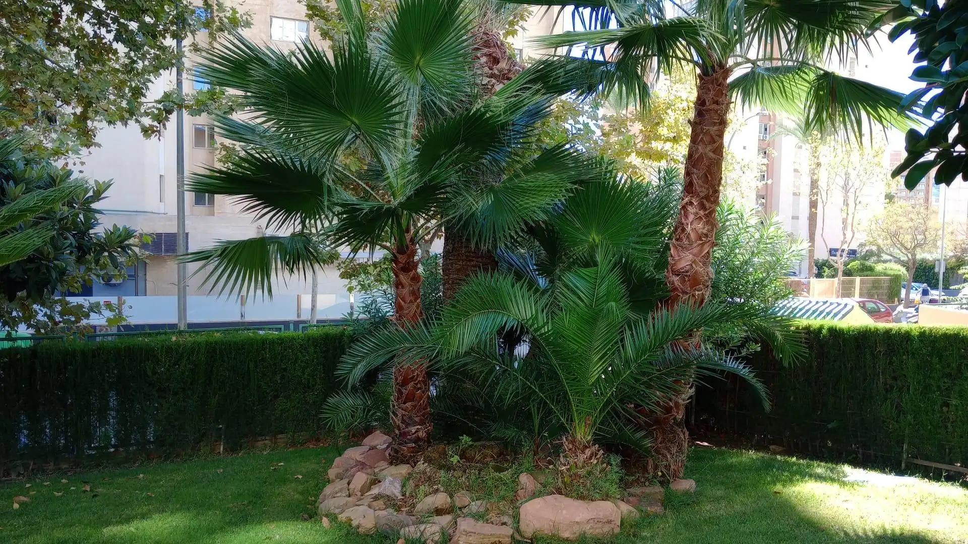 Apartments for sale in Calle Esperanto, Levante Alto