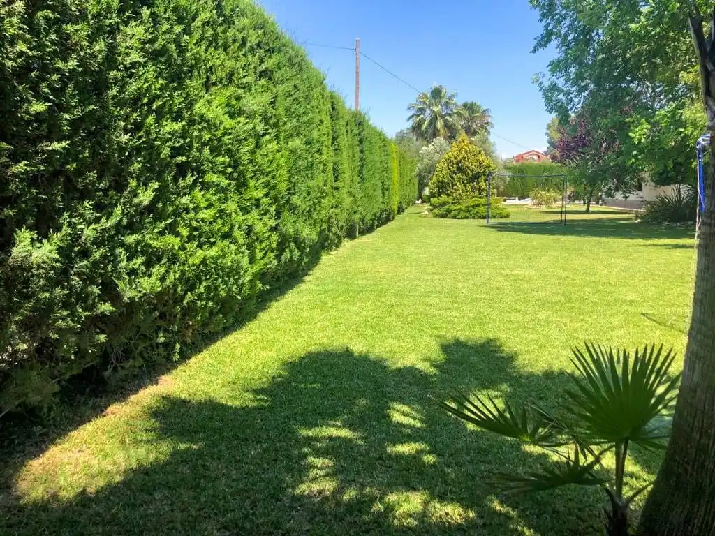 Jardín de Casa o chalet en venta en Elda con Aire acondicionado, Calefacción y Jardín privado