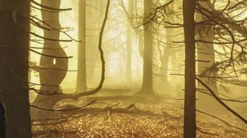 Photo 5 of Flat for sale in Cl Galerna, Sant Esteve de Palautordera, Barcelona