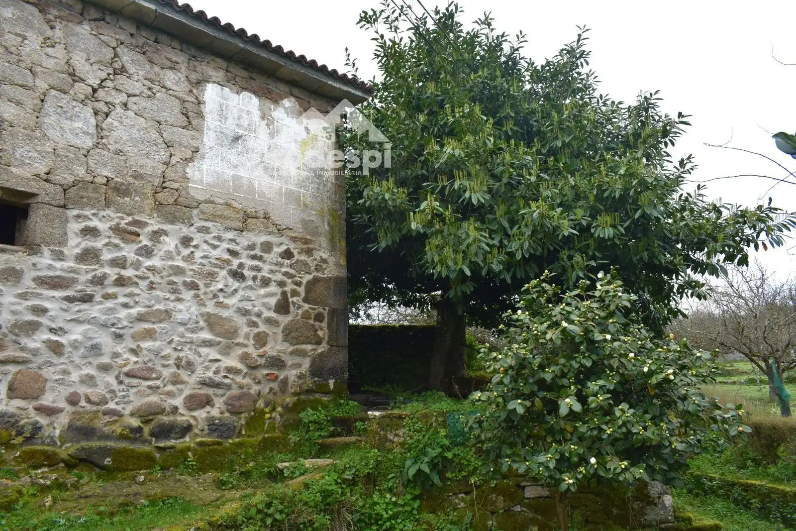 Exterior view of Buildings for sale in Pantón